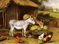 Edgar Hunt - Chickens And Donkeys Feeding Outside A Barn